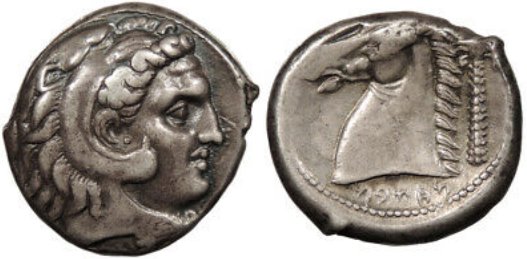 Carthage-And-Punic-Coins